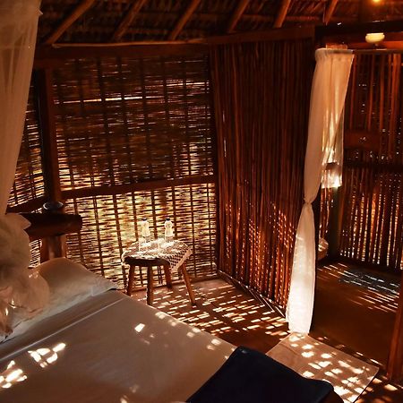 Art Jungle Hotel Itacare Bagian luar foto