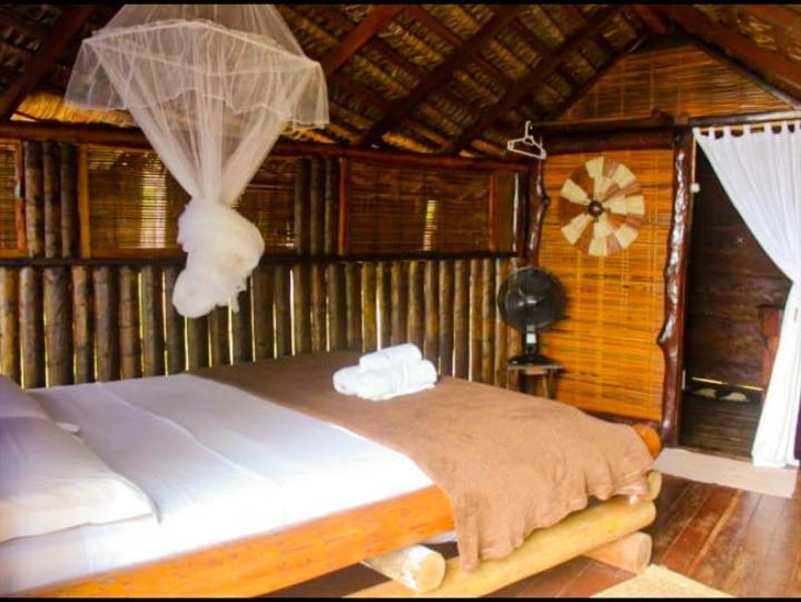 Art Jungle Hotel Itacare Ruang foto