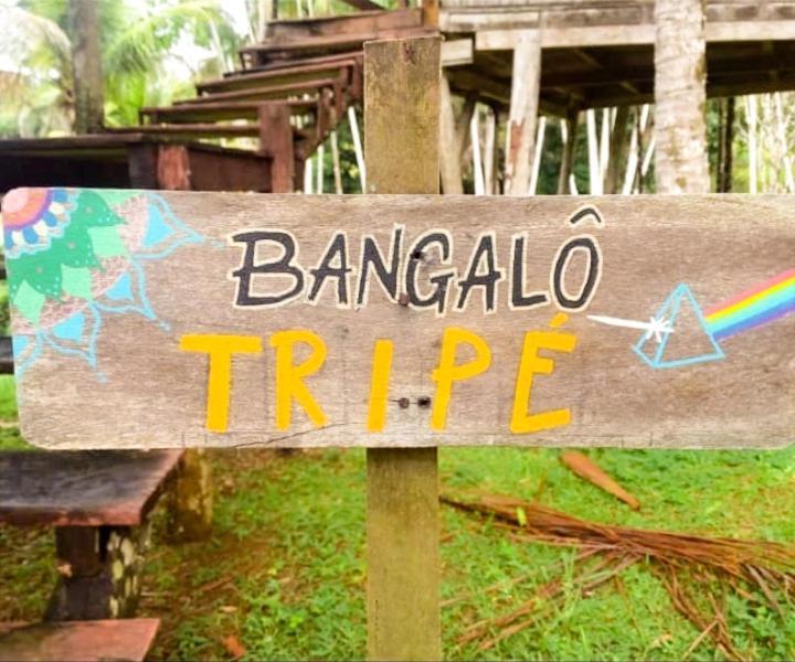 Art Jungle Hotel Itacare Ruang foto