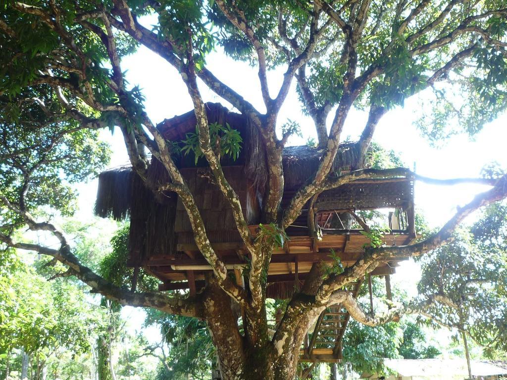 Art Jungle Hotel Itacare Bagian luar foto