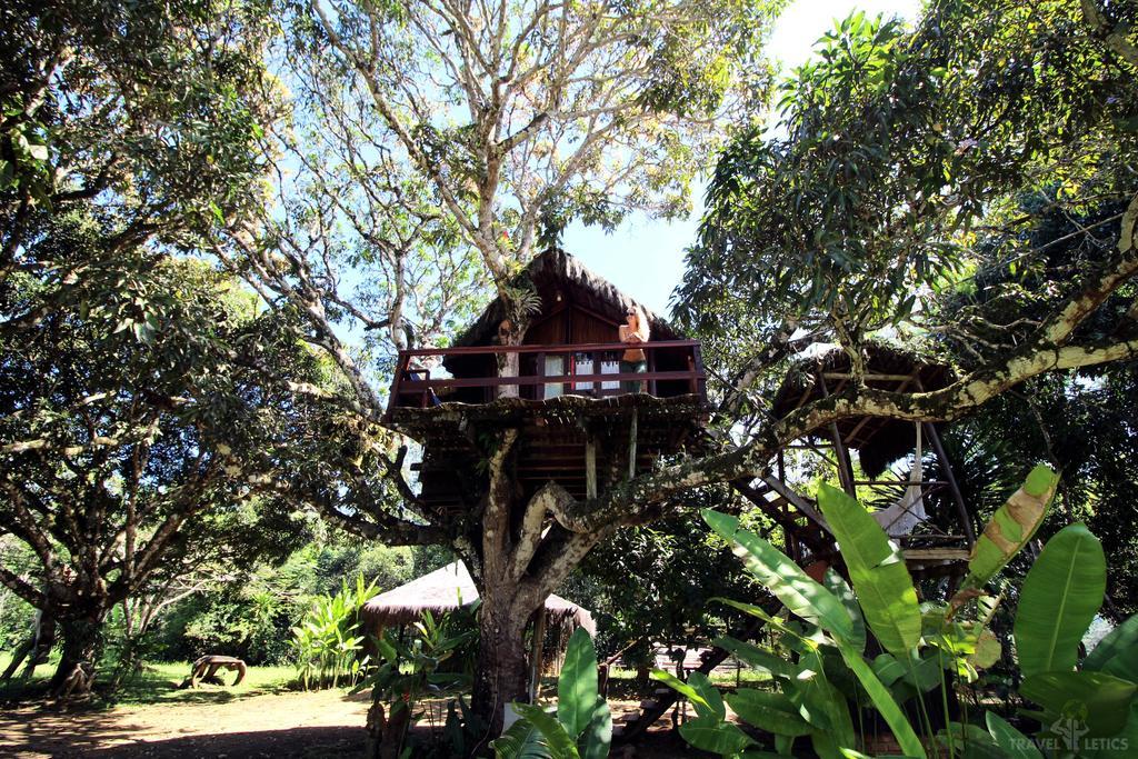 Art Jungle Hotel Itacare Bagian luar foto