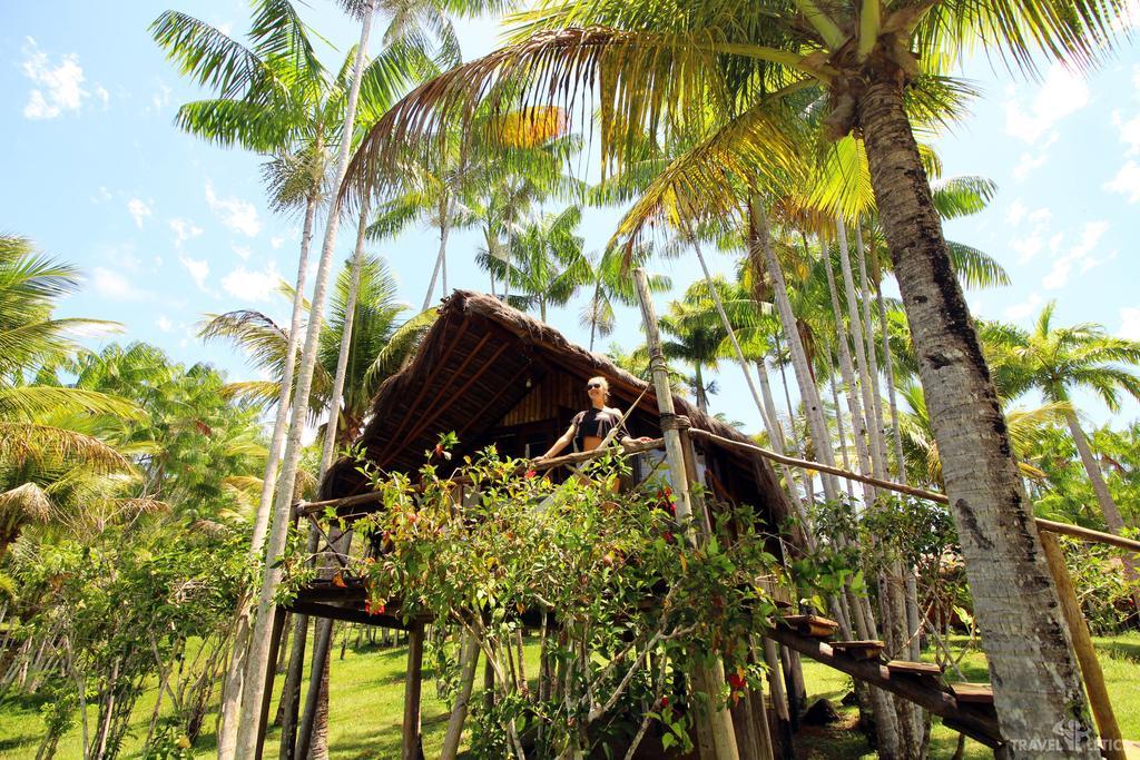 Art Jungle Hotel Itacare Bagian luar foto