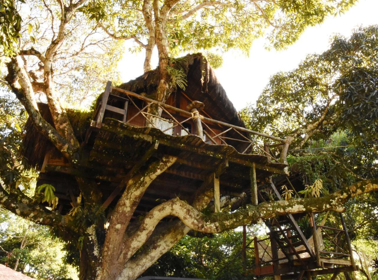 Art Jungle Hotel Itacare Bagian luar foto