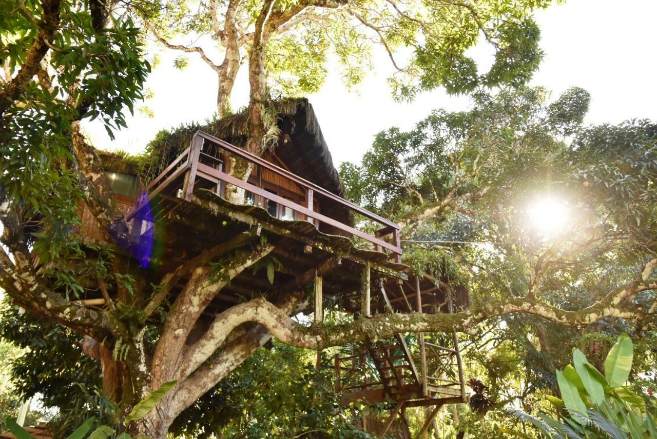 Art Jungle Hotel Itacare Bagian luar foto