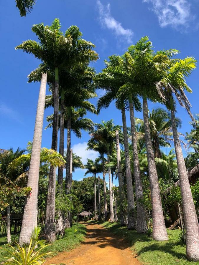 Art Jungle Hotel Itacare Bagian luar foto